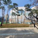 신대호수 스텝파크 앞 | 팝업: [2026 Spring is Blooming 반클리프 아펠] 후기 / 타투 스티커, 씨앗 카드, 팝콘or음료 줘요! 안...