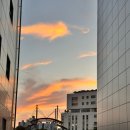 풍암순환로128번길L | 25. 10 (2) 짱 바쁨