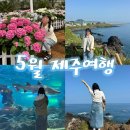 2025년 5월 제주도 가족여행 루트 공유 – 동부, 서부, 서귀포 핵심 일정