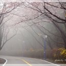 장복산길 이미지