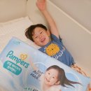 엔젤어린이집 | 여름기저귀 샘플팩 신청방법 후기 팸퍼스 엔젤 에어차차