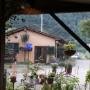 들꽃향기 이미지