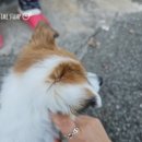 중앙동223 이미지