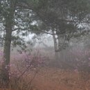 SLOW팬션 이미지