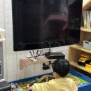 나무그림펜션 | 횡성펜션추천/ 아이들이 정말 좋아했던 횡성 나무그림키즈펜션 내돈내산 후기😊