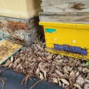 원지농원 이미지