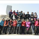 비봉농원 이미지