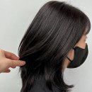 엘바이엘 헤어 | 스타일 변신은 여기서! 마곡미용실 찾았다, 엘바이엘헤어 이야기