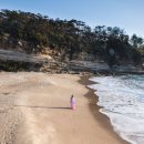 카리브해 이미지