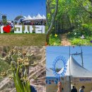 온마을축제) 힐링 입욕제 만들기(11:00~12:00) | 4월 제주 여행 추천 한라산 청정 고사리축제 제주 고사리 축제 제주도 고사리 채취