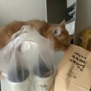 아주노동조합 | 부산 사하 괴정동 카페 소소다방 배달 후기 + 일상