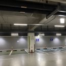 빈야사요가 초급반 | [서울/은평구] 구파발요가 데이지 요가원 후기