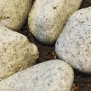 크레이지랩 이미지