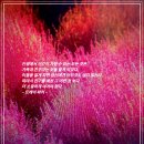 따뜻한하루에 이미지
