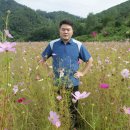 파천면사무소 이미지