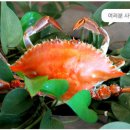 범계역 2번출구 앞 이미지