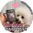 하쿠나마타타 | 반려동물 머그컵 제작 후기, 하쿠나마타타 포니 그레이 추천