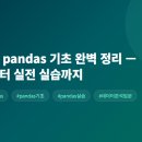 누구나 쉽게 배우는 파이썬 기초부터 데이터 시각화 | 파이썬 pandas 기초 완벽 정리 — 설치부터 실전 실습까지