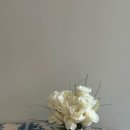 수원-0843 이미지