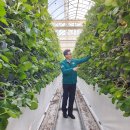 옹진군농업기술센터 이미지