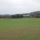 저청초등학교 이미지