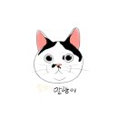 민화화실묘한