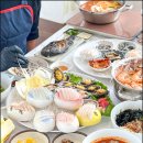 털보애견 이미지