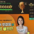 의식주로 배우는 생활중국어 | 생활중국어 배우기 좋은 인강 후기! 초보도 쉽게 배웠어요