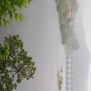 보아농장 이미지