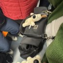 (유)아웃백스테이크하우스코리아미아점 | [유럽여행] 이탈리아 로마 2편_바티칸, 나폴리