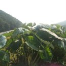 승준농장(2) 이미지