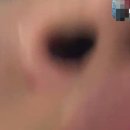 봉싯봉싯