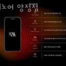 솔레노어양정