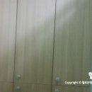 도현테라피