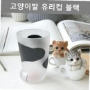 고양이 발바닥 이미지