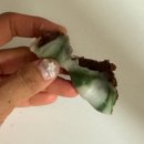 다감식품 이미지