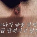 마트킹 이미지