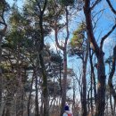 음봉생태찌개 이미지