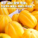 금사농업협동조합 | 여주 금사 참외 축제 2026 기본정보ㅣ초대가수·불꽃쇼·똑버스·주차장·여주 가볼만한 곳 총정리