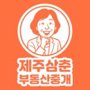 제주체크부동산중개 | 제주촌집매매, 왜 요즘 사람들이 다시 찾을까?