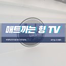 위너레슬링체육관 이미지