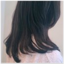 더희수뷰티스토리 분당수내역점에서 특별한 미용 경험 해보세요! ✂️