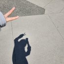 밴쿠버 생존기 (2)