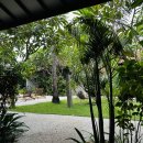 호텔퓰문(HOTEL FULL MOON) | 발리 길리섬 여행 팁 / 에카자야 페리 우붓픽업에서 빠당바이를 통해 길리 후기