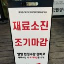 삼척중앙초등학교 이미지
