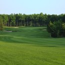 이코중식 이미지