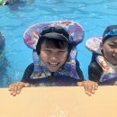 송암태권도 이미지