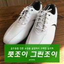 [풋조이 그린조이 남성골프화]FJ Foot Joy GreenJoy 골핑 구매후기 신발사이즈 선택요령