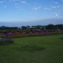 개운중학교 이미지