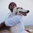 프라임 도그 이미지